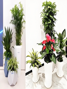 奉化绿化修剪哪家强？看这几家专业靠谱之选